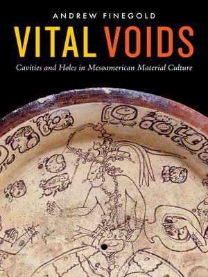 cover image of Vital Voids